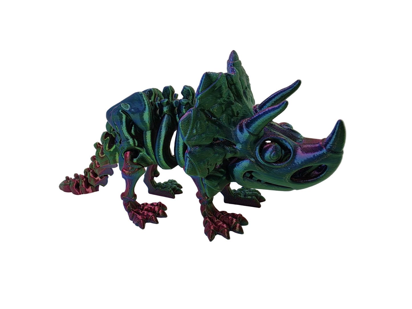 Skeleton Triceratops – Articulated Tri-Color Fossil Dinosaur
