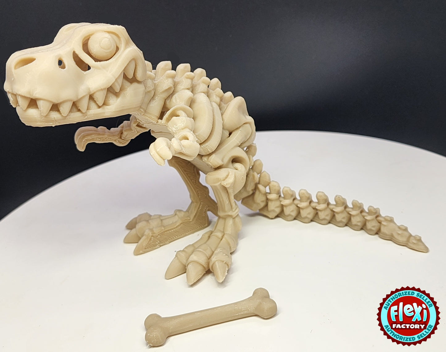 The Articulating Skeleton T Rex with Bone Sculpture / Fidget Toy