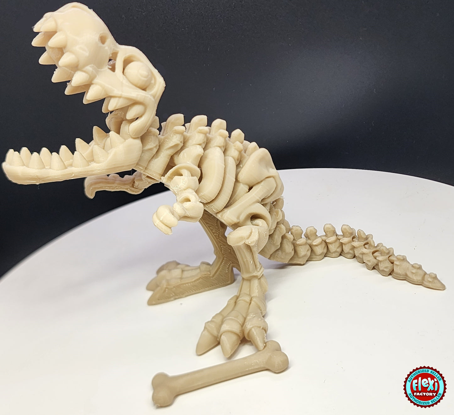 The Articulating Skeleton T Rex with Bone Sculpture / Fidget Toy