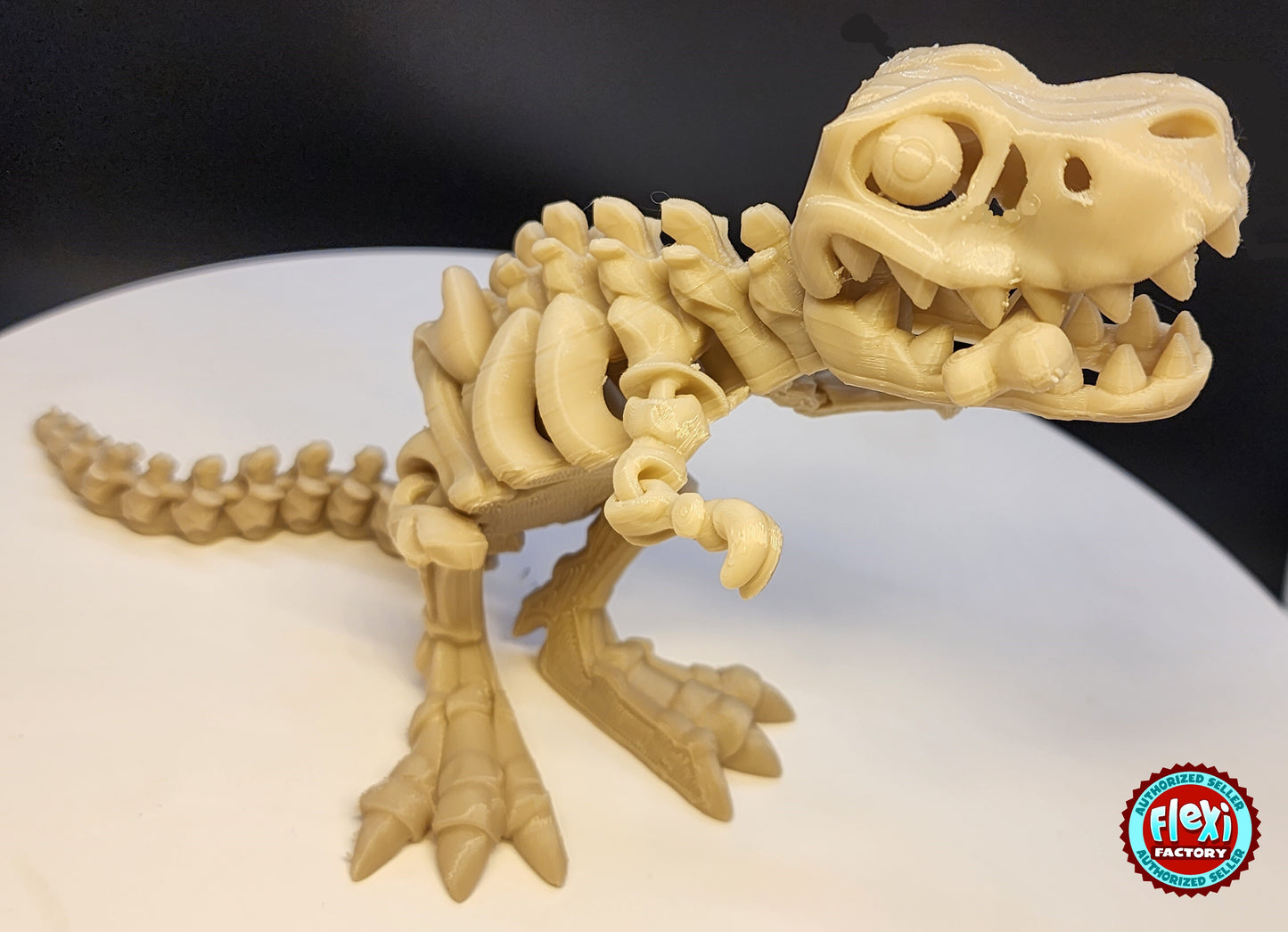 The Articulating Skeleton T Rex with Bone Sculpture / Fidget Toy