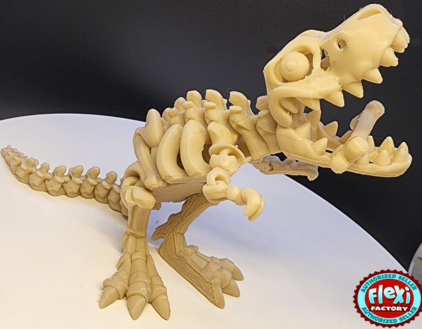 The Articulating Skeleton T Rex with Bone Sculpture / Fidget Toy