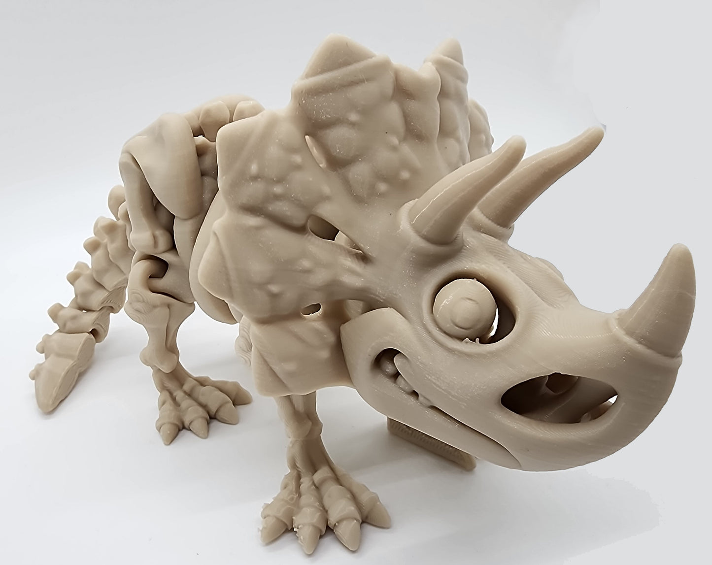 The Articulating Skeleton Triceratops Sculpture / Fidget Toy