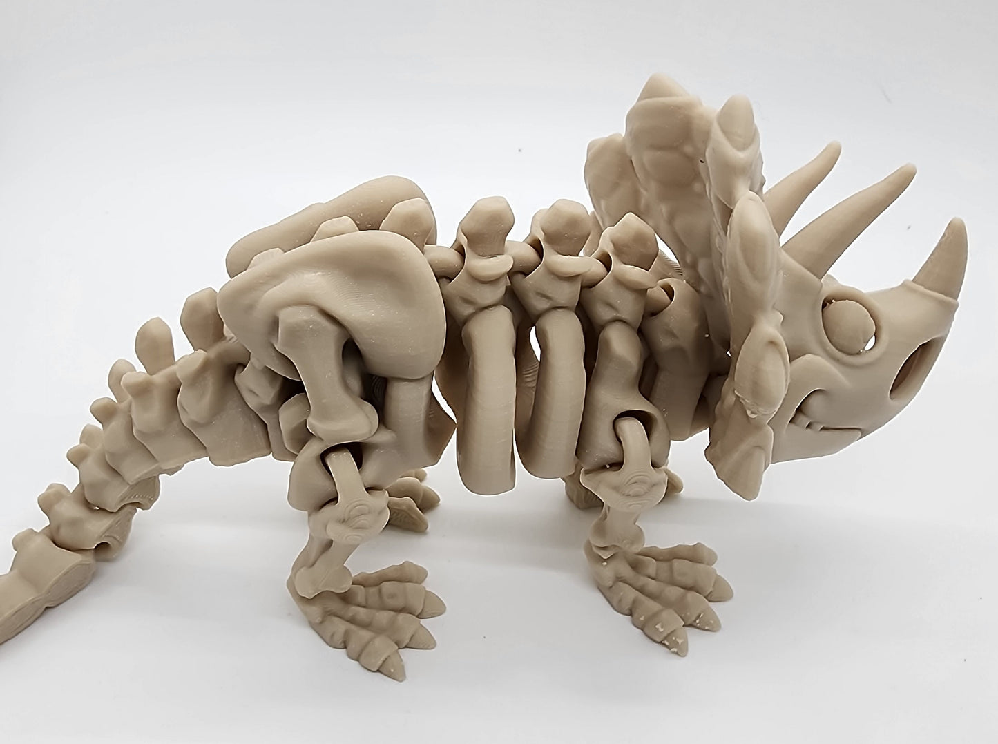 The Articulating Skeleton Triceratops Sculpture / Fidget Toy