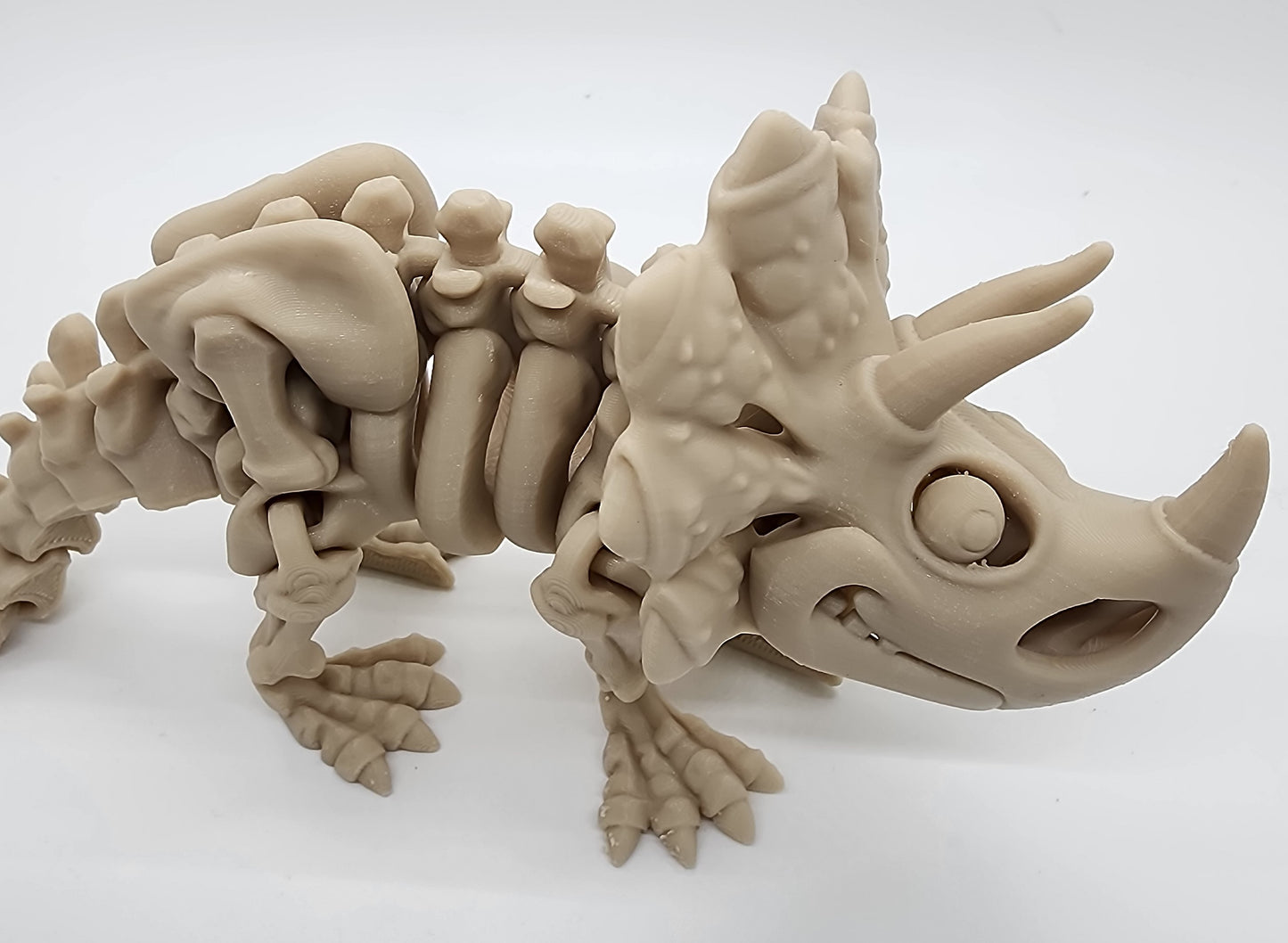 The Articulating Skeleton Triceratops Sculpture / Fidget Toy