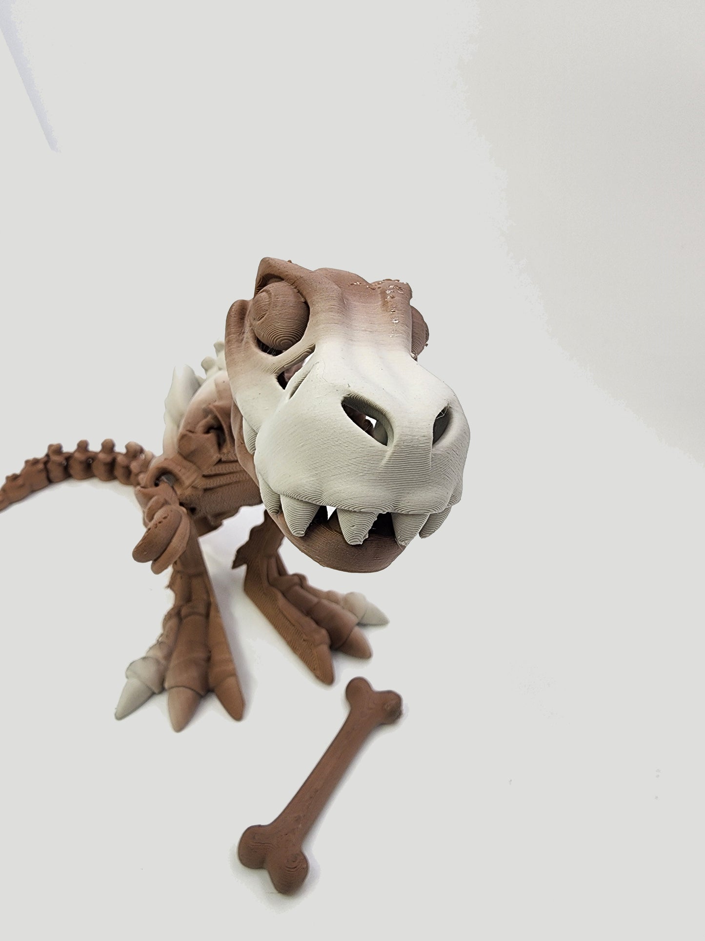 The Articulating Skeleton T Rex with Bone Sculpture / Fidget Toy