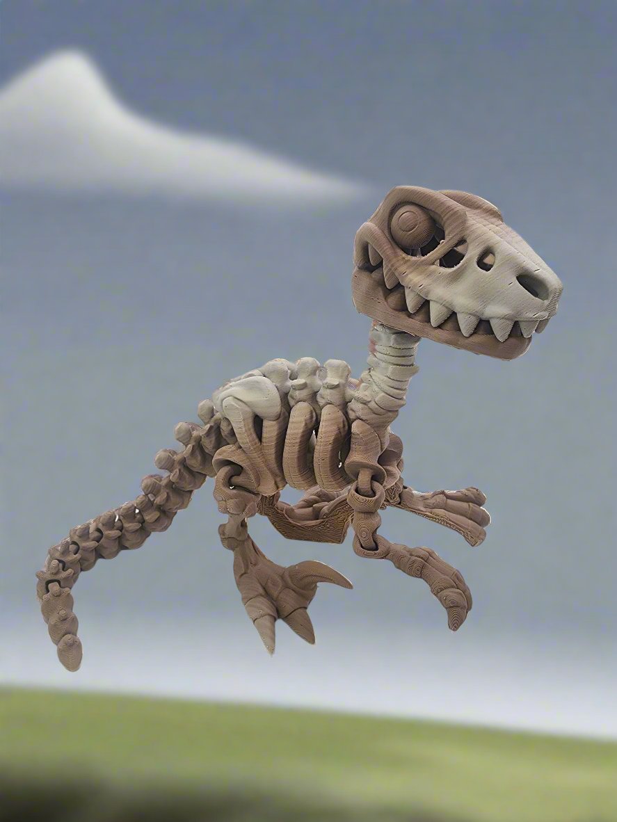 The Articulating  Skeleton Raptor Sculpture / Fidget Toy