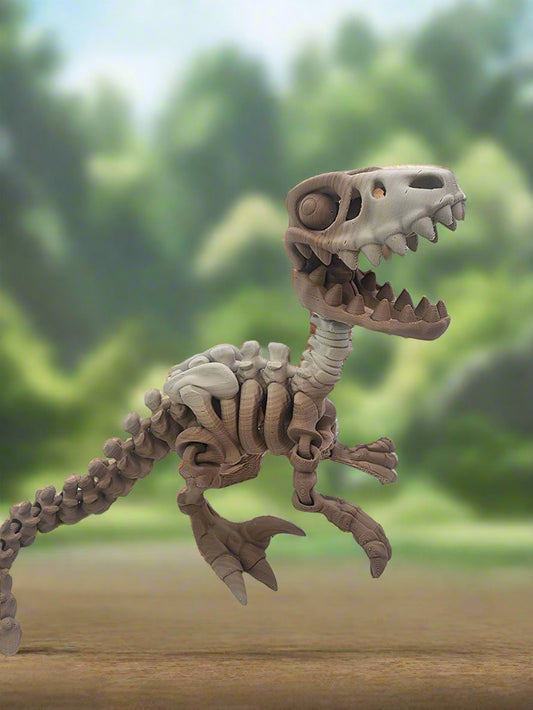 The Articulating  Skeleton Raptor Sculpture / Fidget Toy