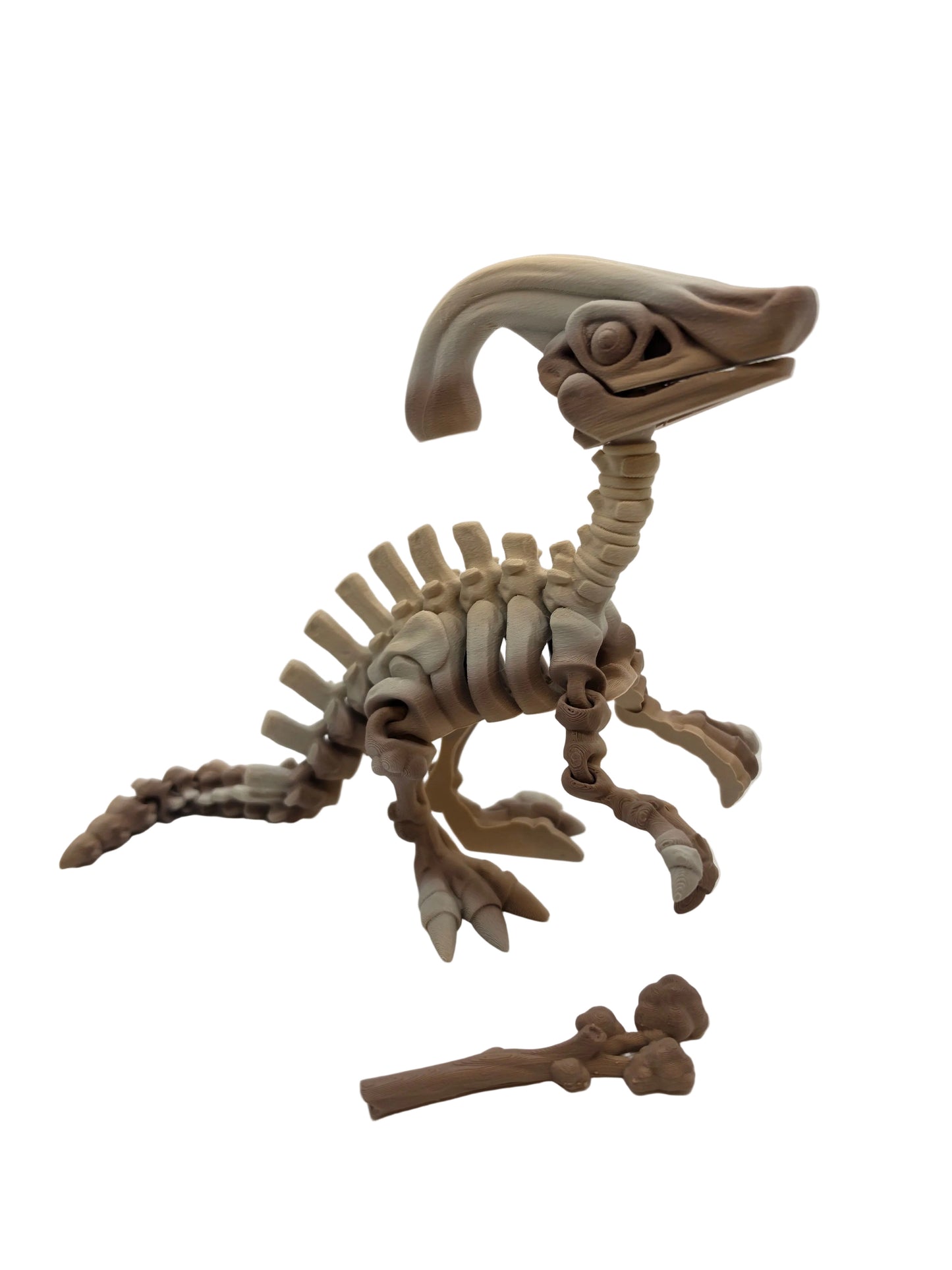 The Articulating Skeleton Parasaurolophus Sculpture / Fidget Toy