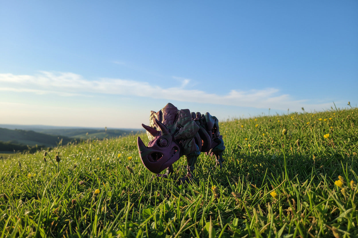 Skeleton Triceratops – Articulated Tri-Color Fossil Dinosaur