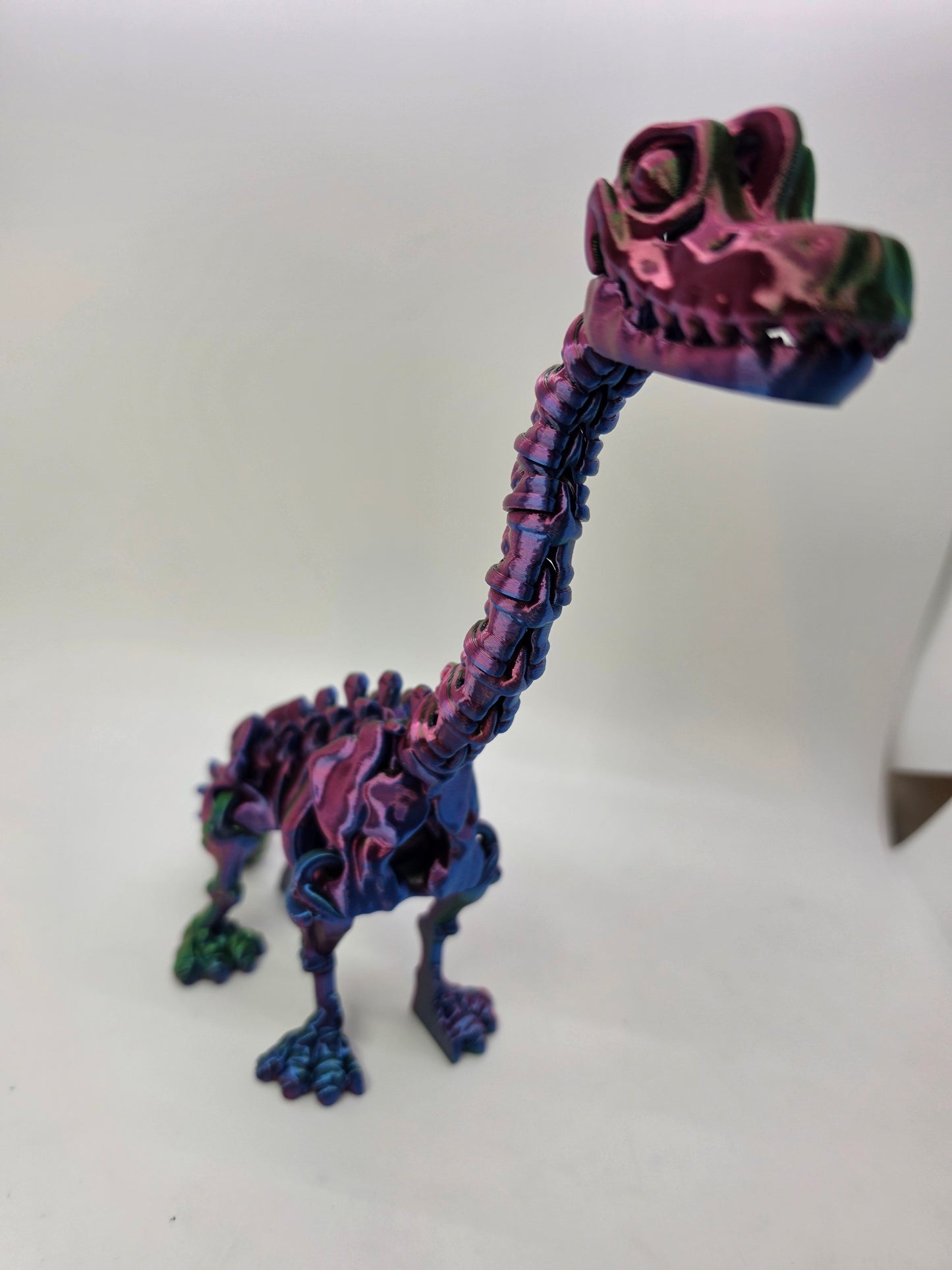 Skeleton Brachiosaurus – Articulated Tri-Color Fossil Dinosaur