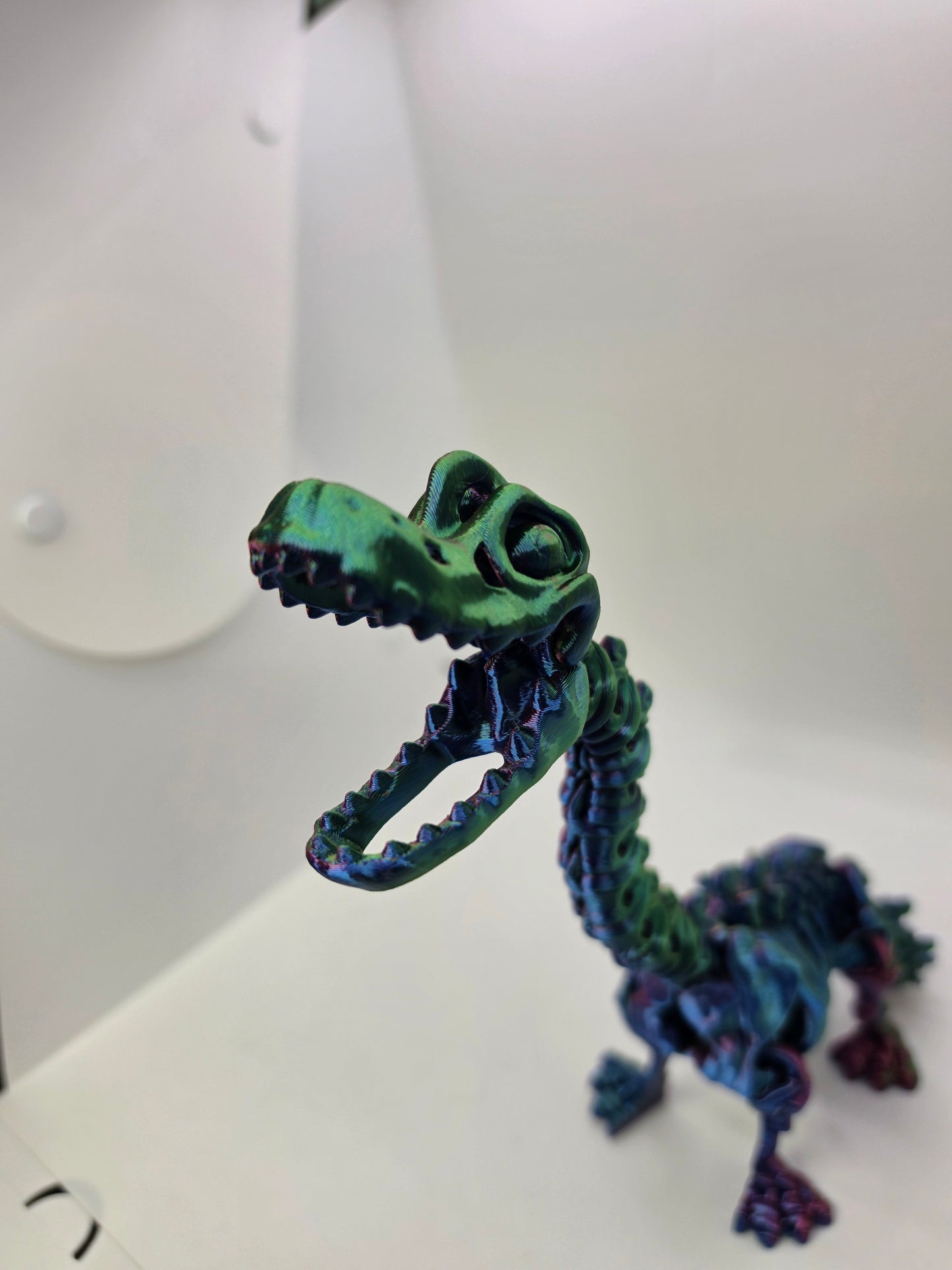 Skeleton Brachiosaurus – Articulated Tri-Color Fossil Dinosaur