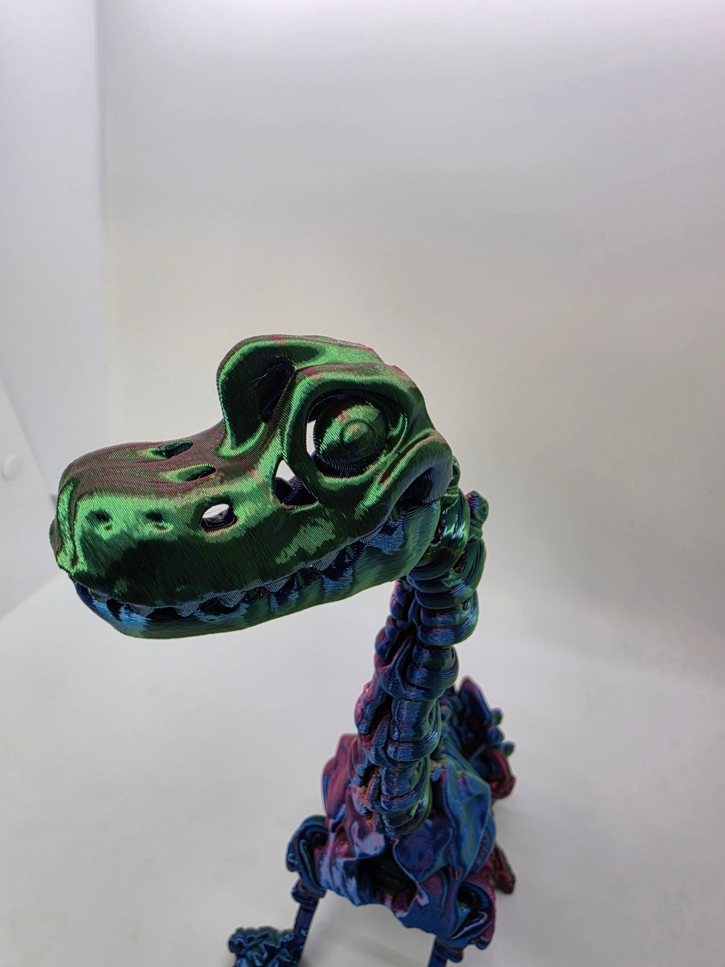 Skeleton Brachiosaurus – Articulated Tri-Color Fossil Dinosaur