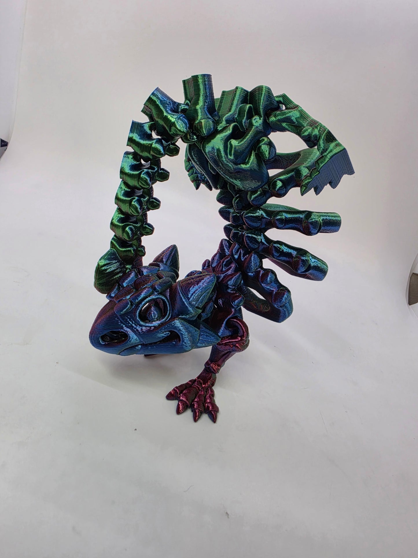 Skeleton Ankylosaurus – Articulated Tri-Color Fossil Dinosaur