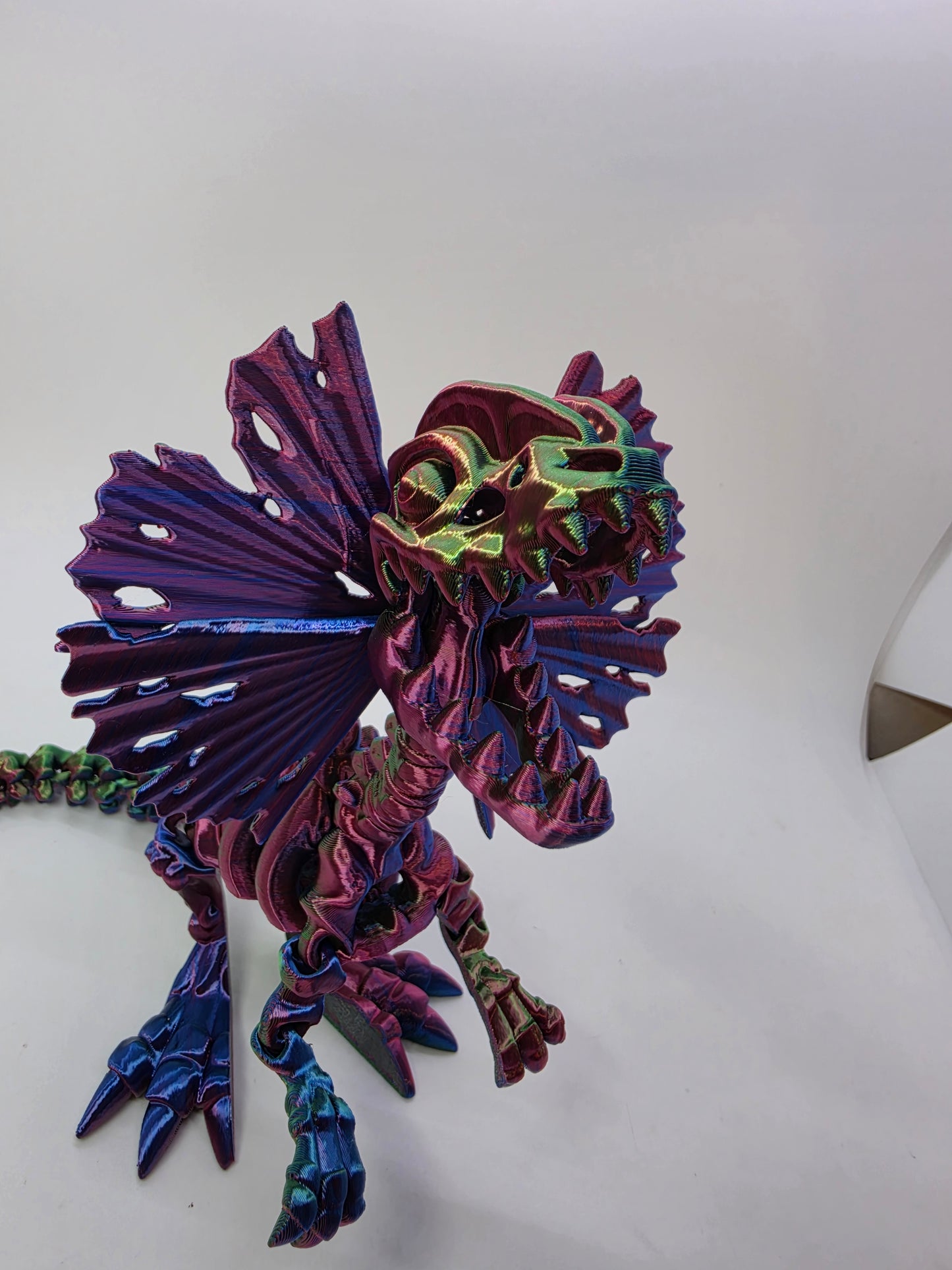 Skeleton Dilophosaurus – Articulated Tri-Color Fossil Dinosaur