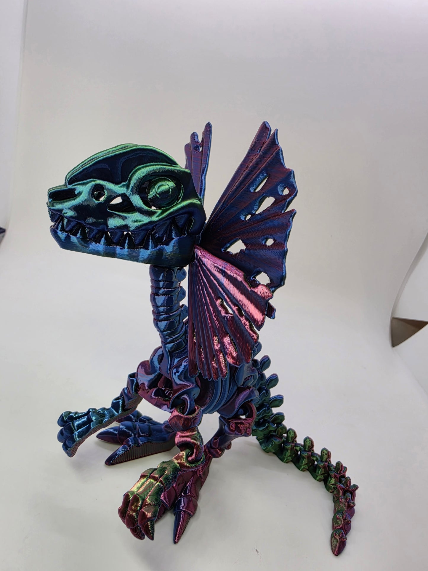 Skeleton Dilophosaurus – Articulated Tri-Color Fossil Dinosaur