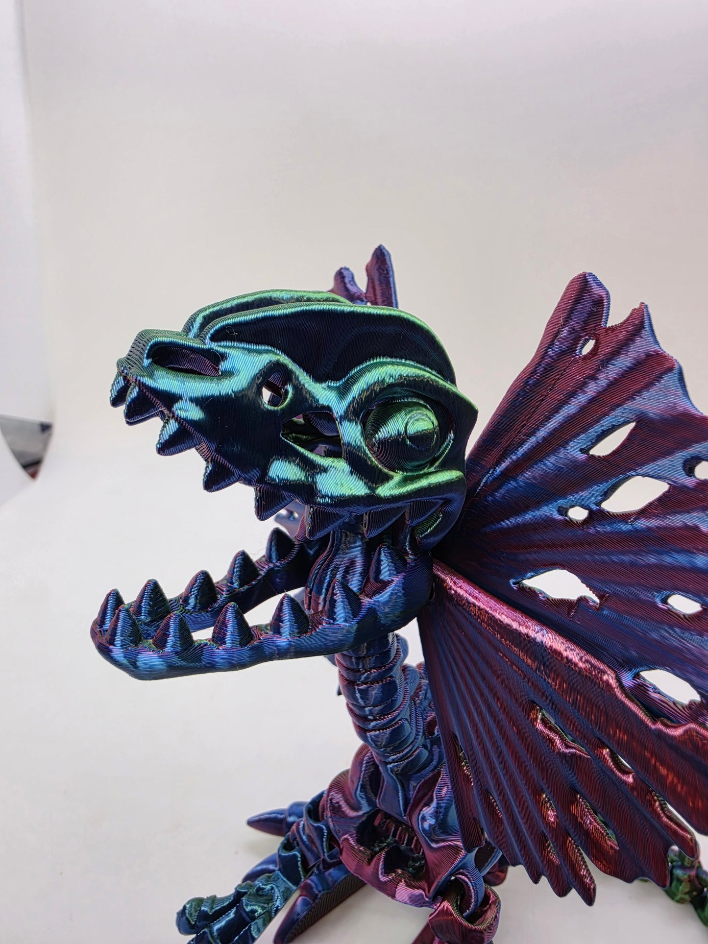 Skeleton Dilophosaurus – Articulated Tri-Color Fossil Dinosaur