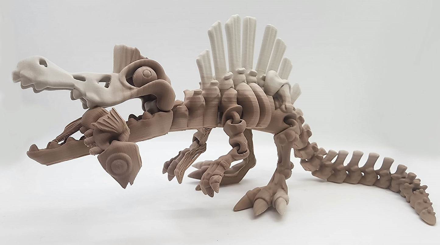 The Articulating  Skeleton Spinosaurus With Fish Sculpture / Fidget Toy