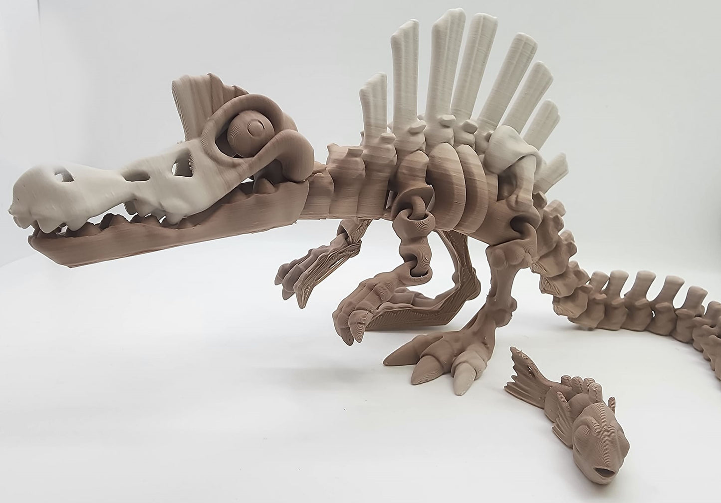 The Articulating  Skeleton Spinosaurus With Fish Sculpture / Fidget Toy