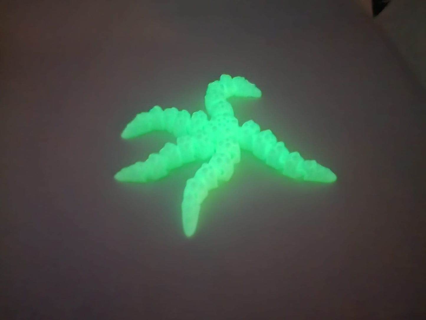 Luminous Glow-in-the-Dark Starfish Fidget Toy