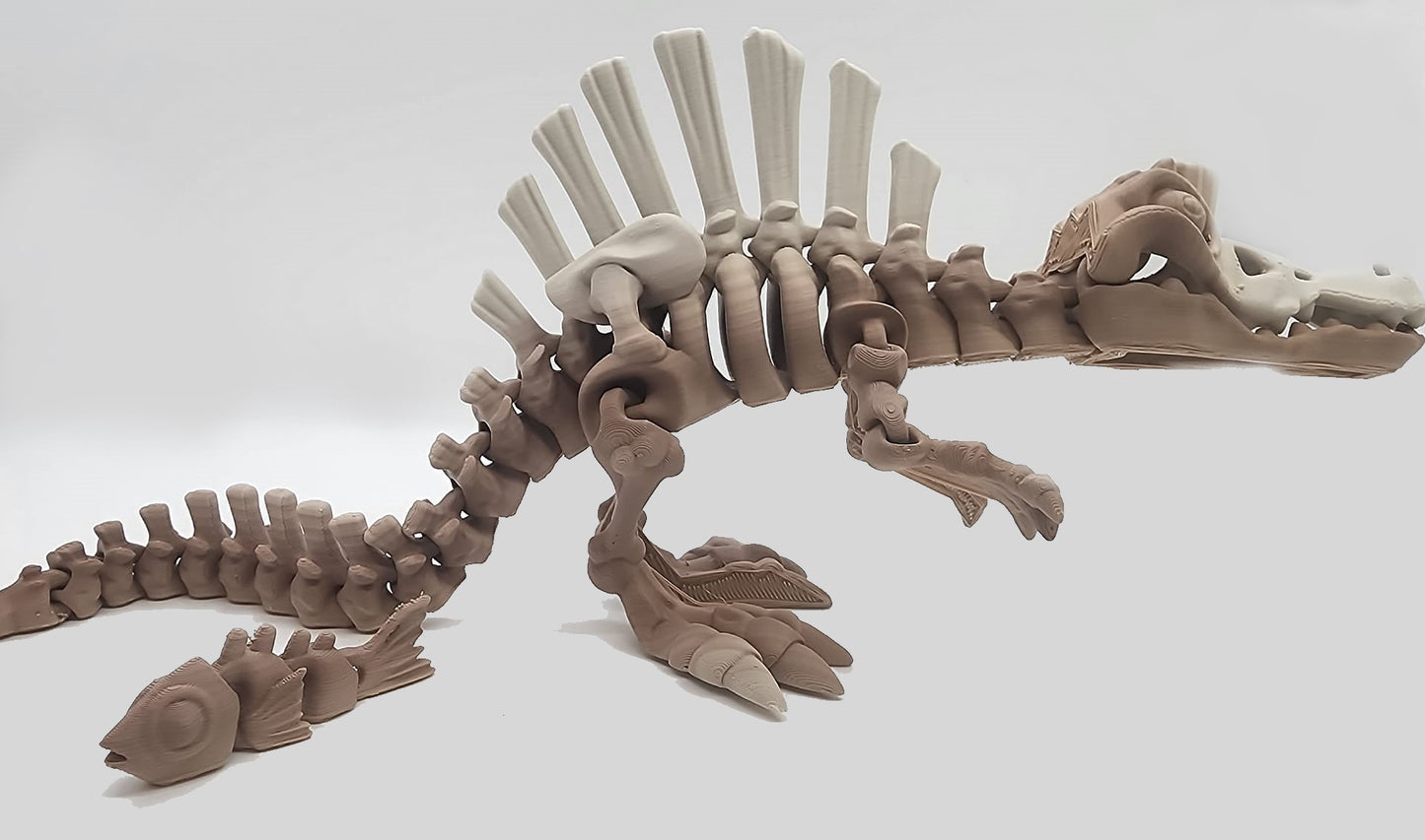 The Articulating  Skeleton Spinosaurus With Fish Sculpture / Fidget Toy