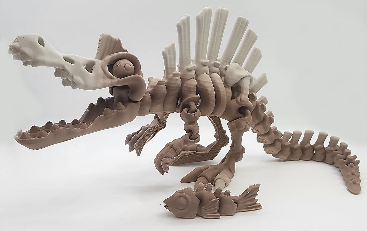 The Articulating  Skeleton Spinosaurus With Fish Sculpture / Fidget Toy