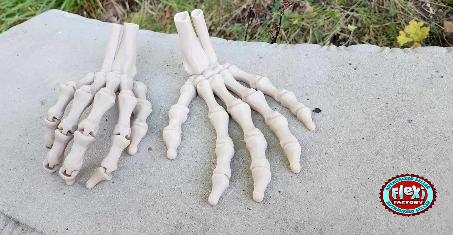 The Articulating Skeleton Hand Sculpture (Left or Right) / Fidget Toy