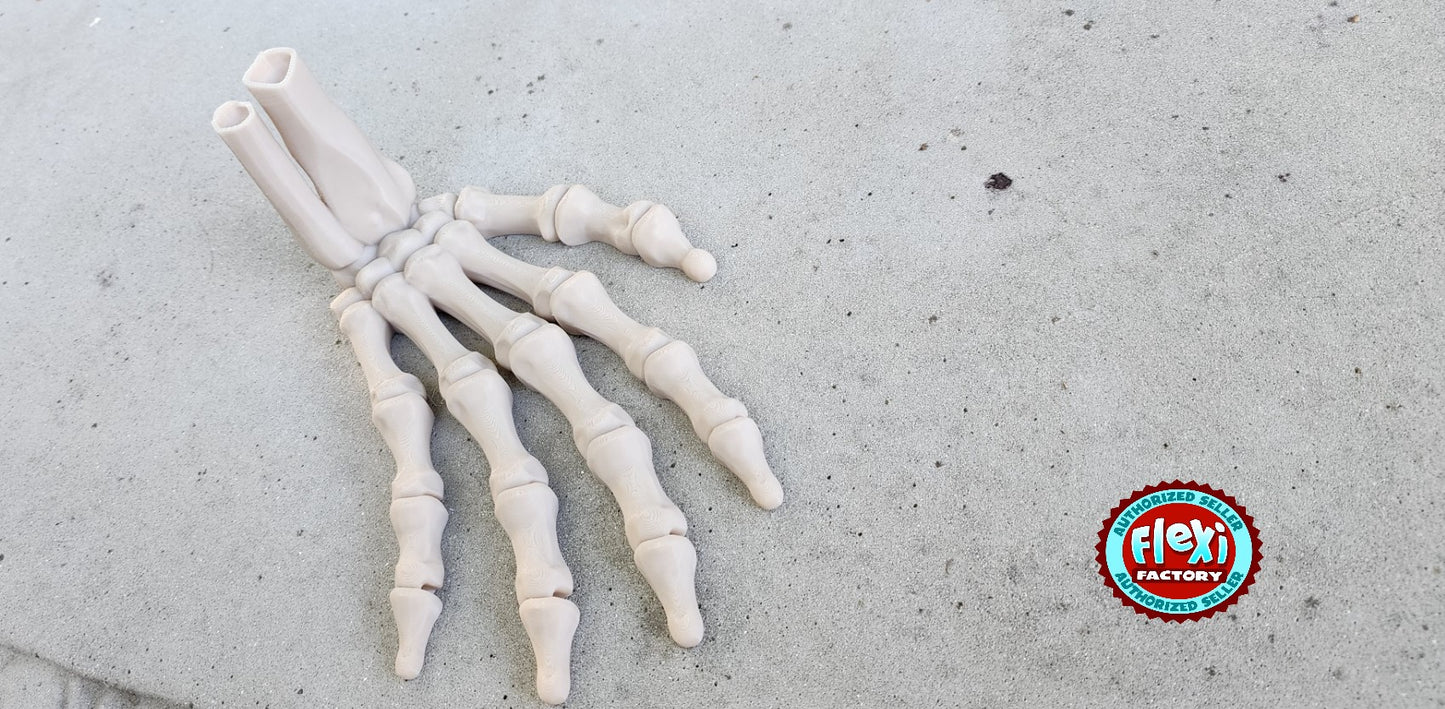 The Articulating Skeleton Hand Sculpture (Left or Right) / Fidget Toy