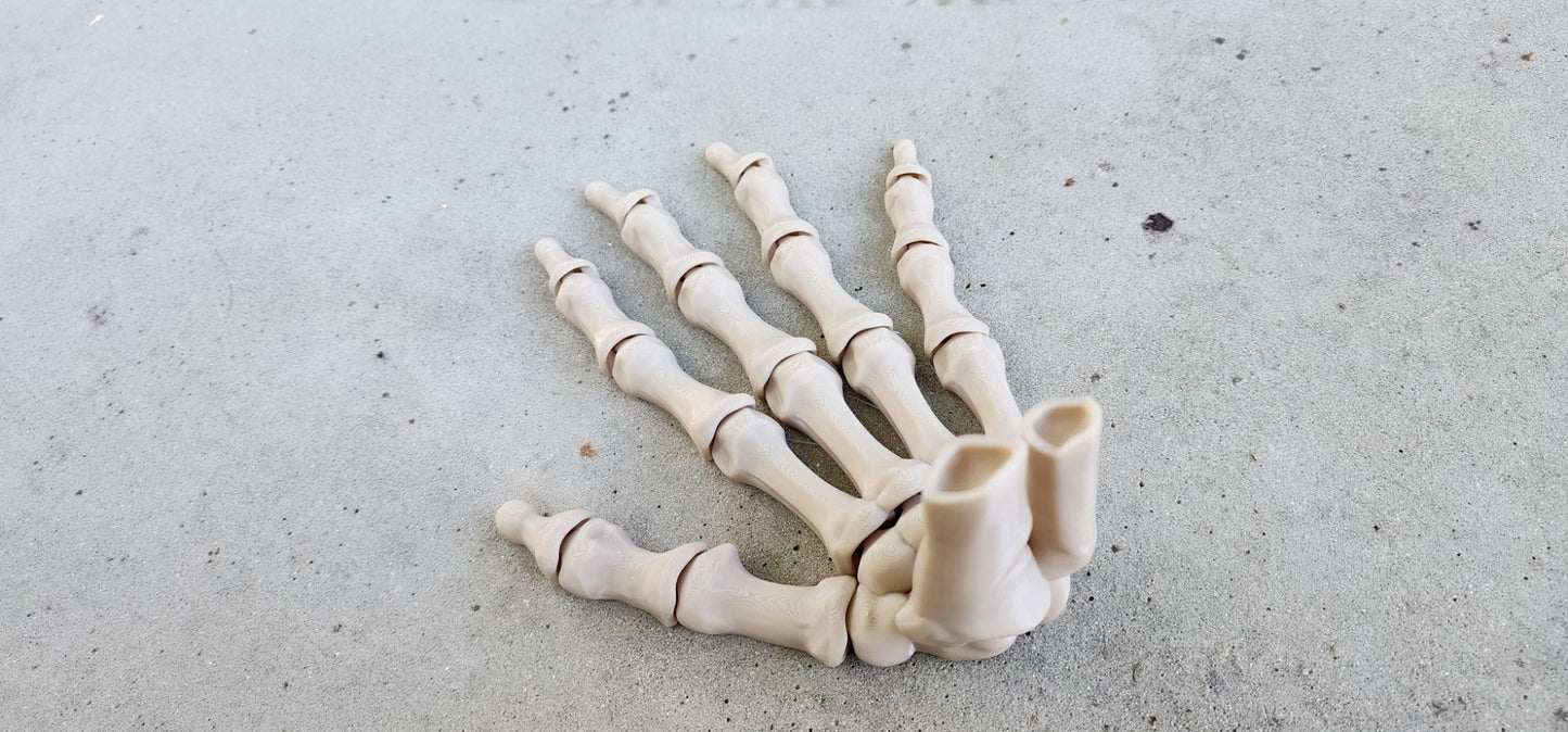 The Articulating Skeleton Hand Sculpture (Left or Right) / Fidget Toy