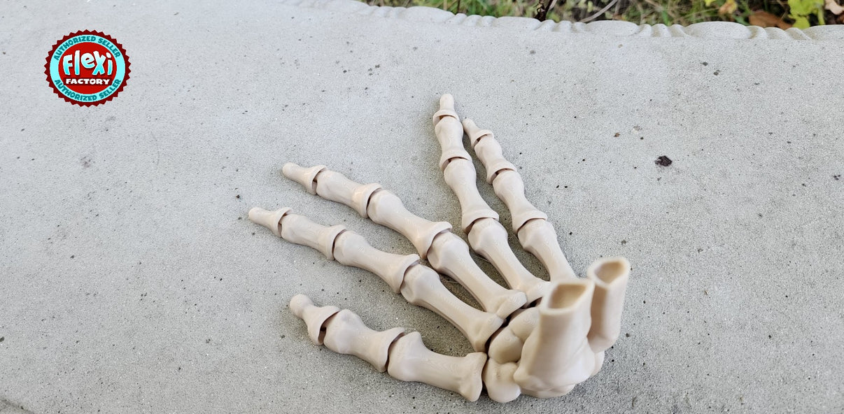 The Articulating Skeleton Hand Sculpture (Left or Right) / Fidget Toy ...