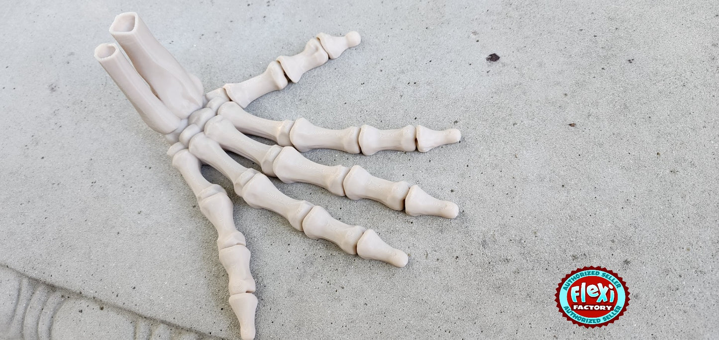 The Articulating Skeleton Hand Sculpture (Left or Right) / Fidget Toy