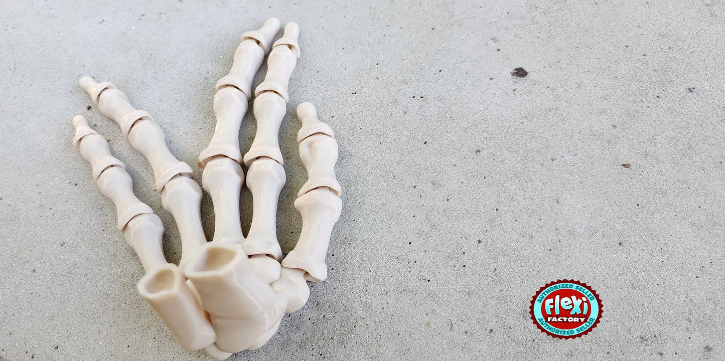 The Articulating Skeleton Hand Sculpture (Left or Right) / Fidget Toy