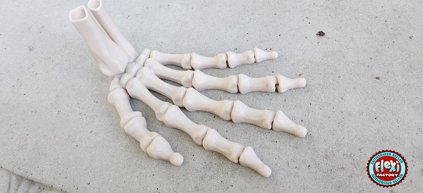 The Articulating Skeleton Hand Sculpture (Left or Right) / Fidget Toy