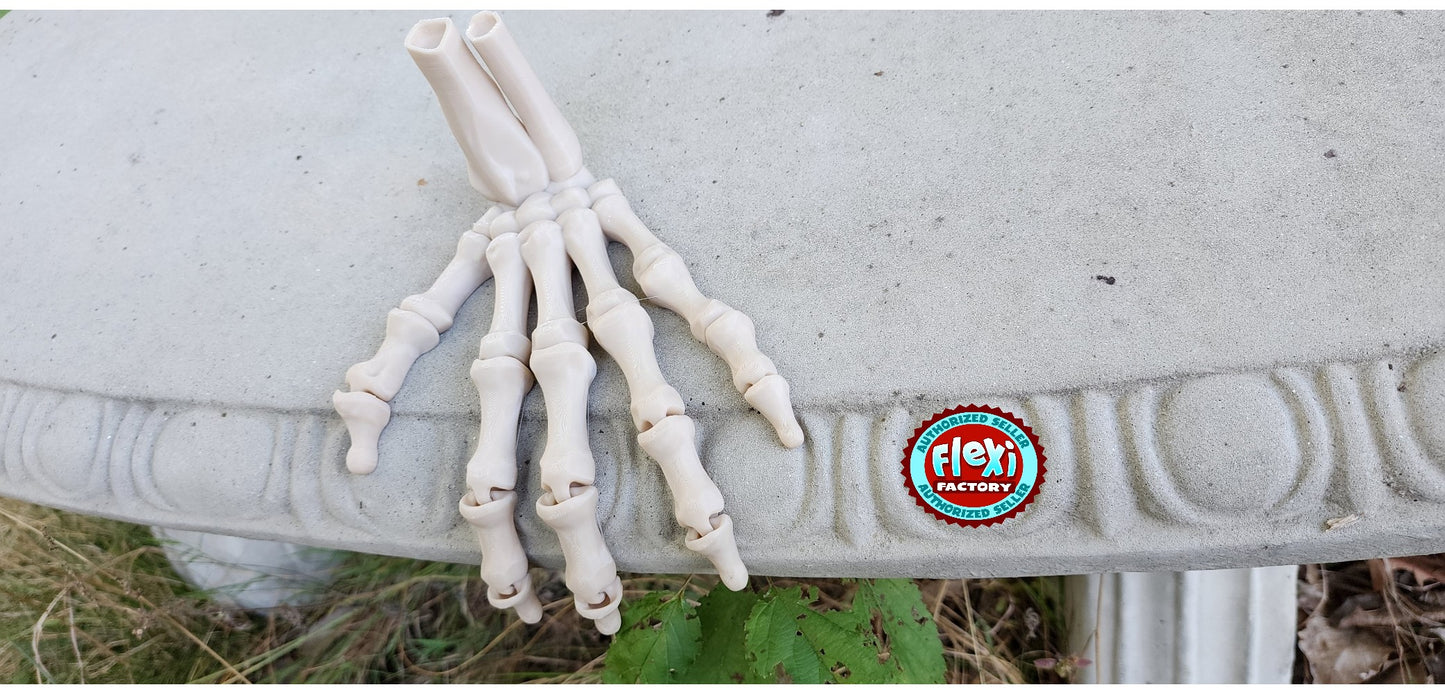 The Articulating Skeleton Hand Sculpture (Left or Right) / Fidget Toy