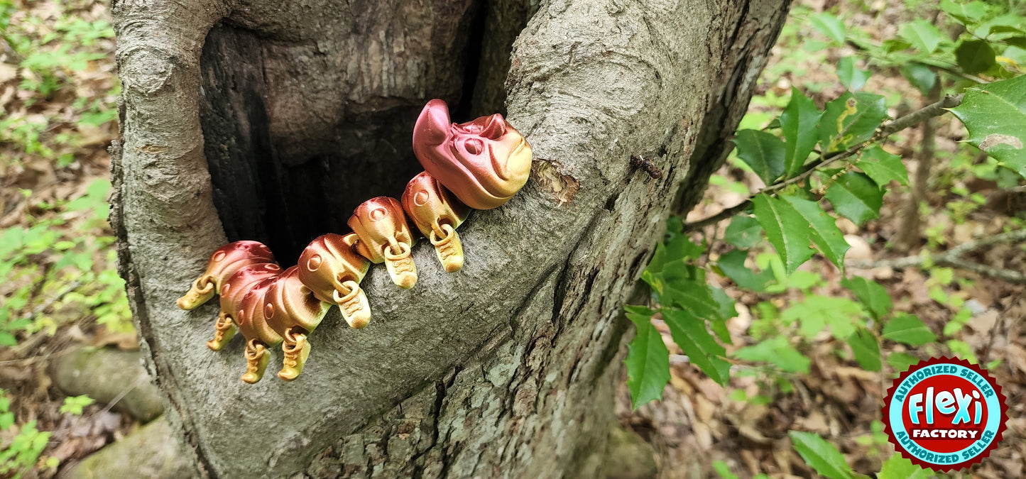 The Articulating Rainbow Caterpillar Sculpture / Fidget Toy